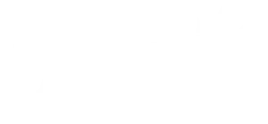 The NetworKing Logo white bg transp